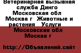 Ветеринарная вызывная служба Динго - Московская обл., Москва г. Животные и растения » Услуги   . Московская обл.,Москва г.